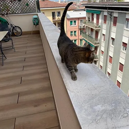 La Terrazza Di Gabry בית הארחה